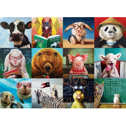 Funny Animals Puzzle - Lucia Hefferman (1000)