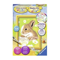 Schilderen op nummer - Konijn Vlekkie