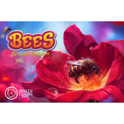 Bees: The Secret Kingdom